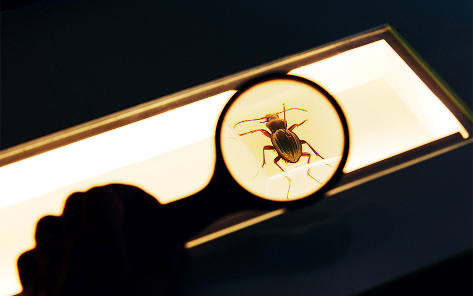 science_tourism_adv03_12_1728285