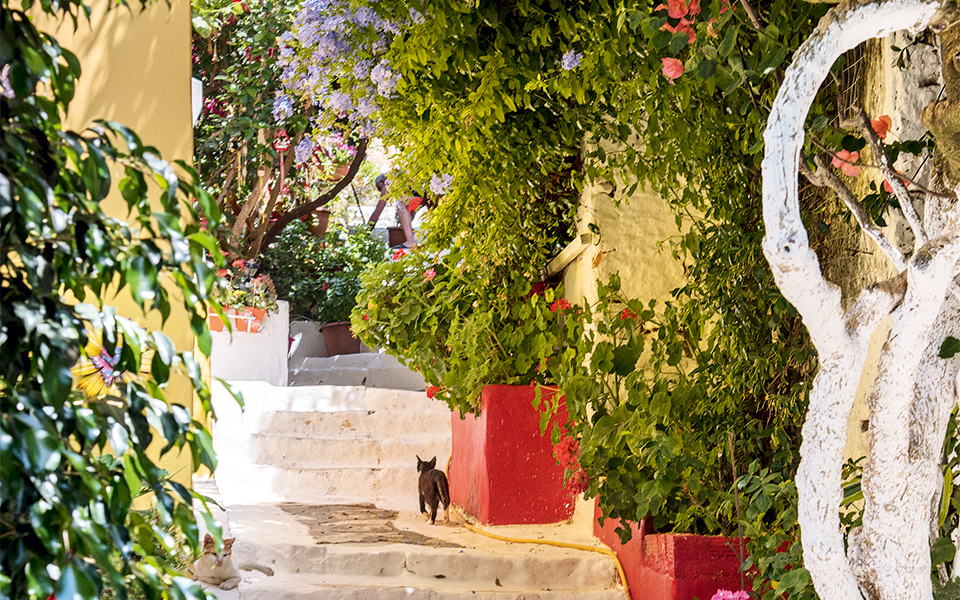 spitia_arxitektonikh_dsc6246