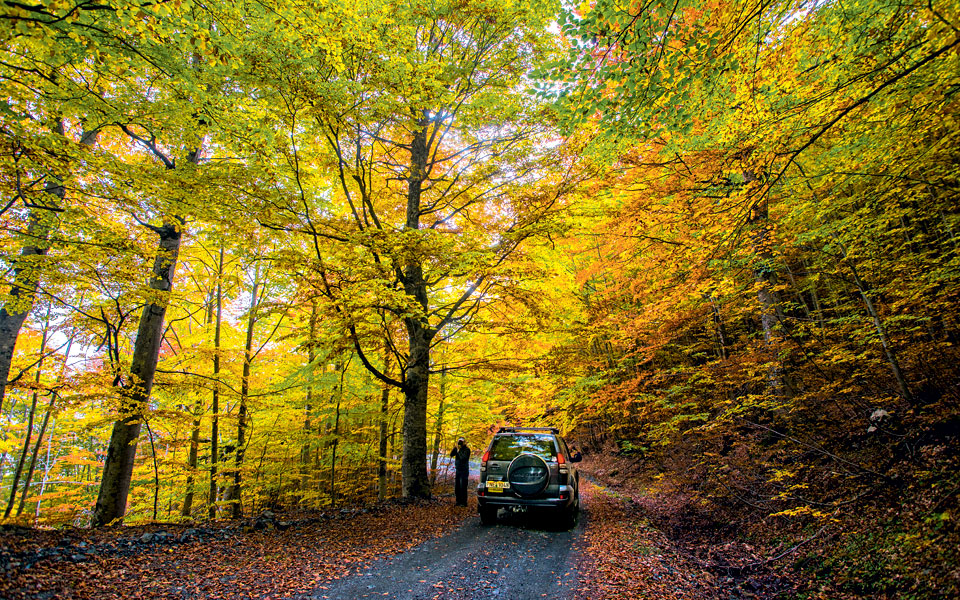 grevena-001-valia-kalda-0021