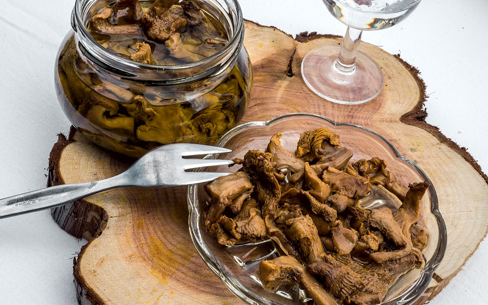 grevena-005-manitaria-idigefsto-0197