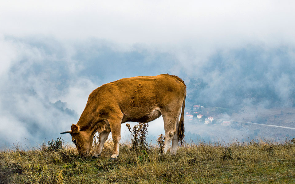 grevena-014-dromos-0421