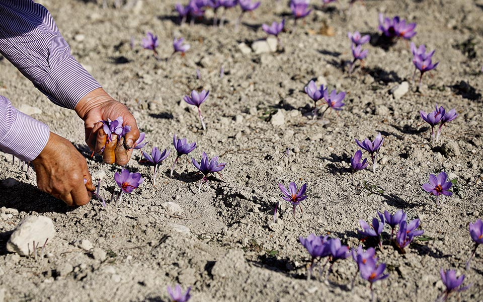 mdf98189