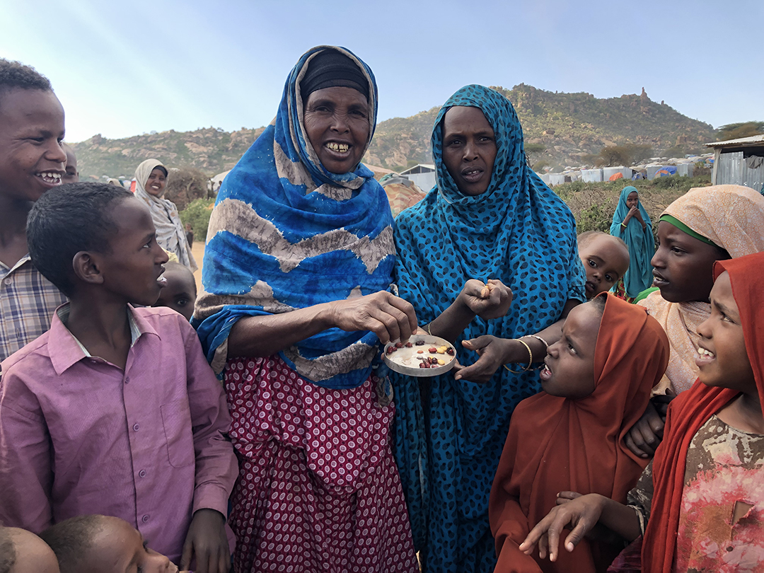 Πρόσφυγες μέσα στην πατρίδα τους-4