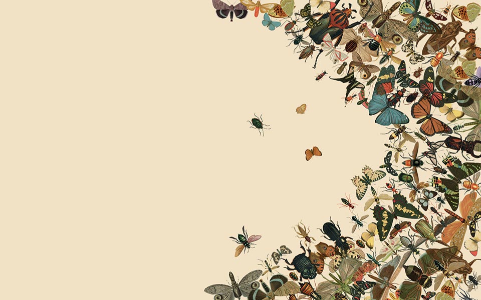 sotos_complex__
