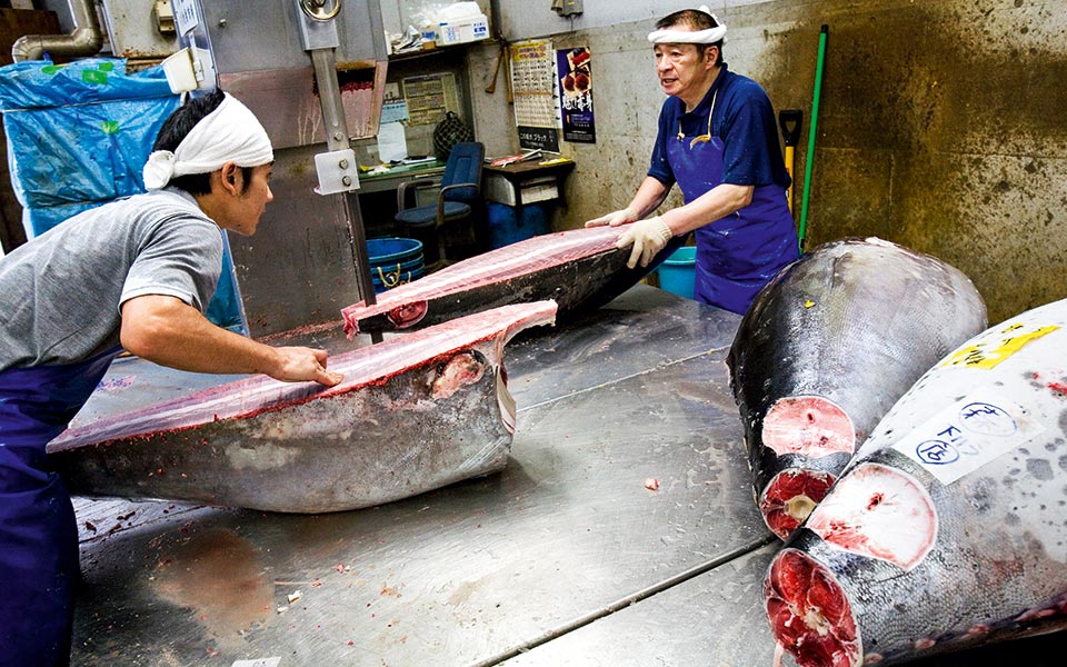 15_tsukiji_9919--2