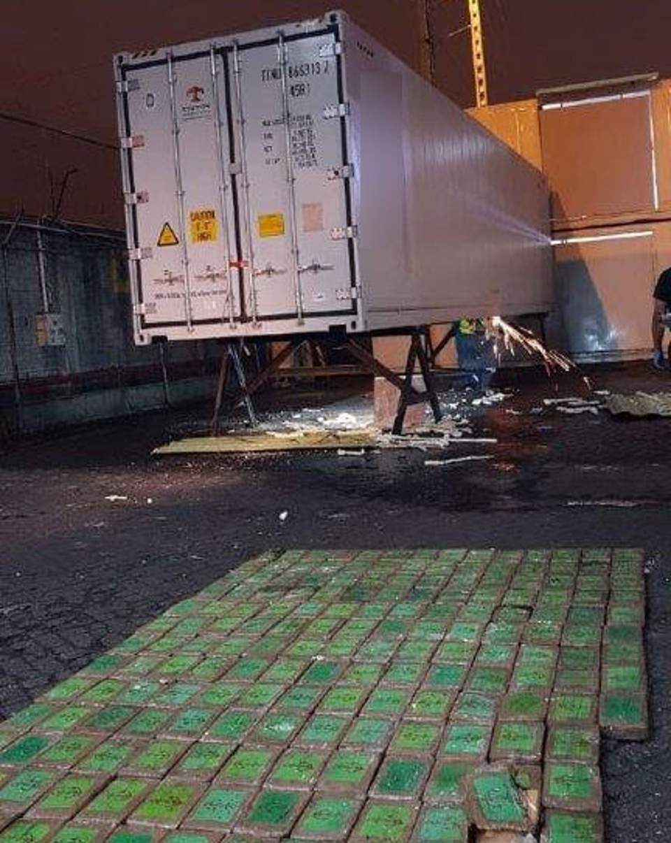 Οι μπακαλιάροι και η κοκαΐνη-1