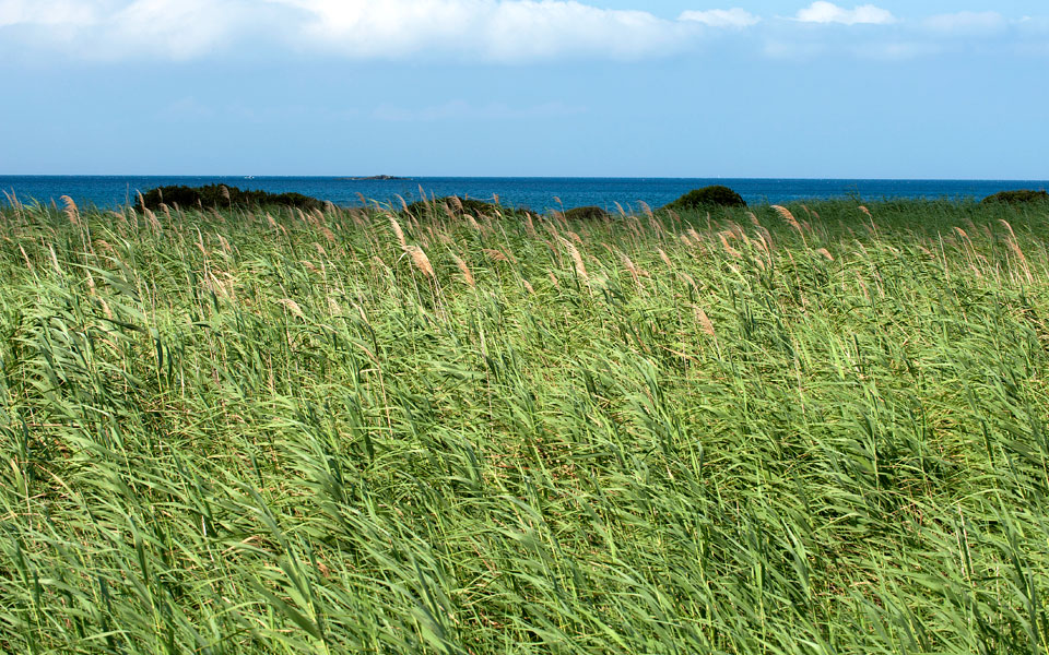 dsc_2214-h-agiassos-naxos