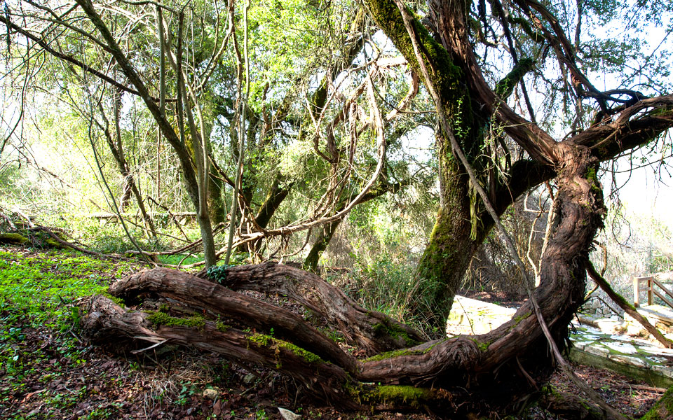 dsc_4270h-----------------------------3000-----