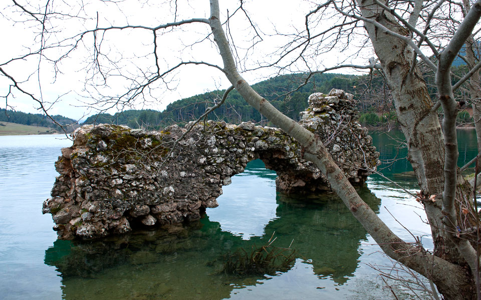 dsc_4743h--------p------p-----------------------------