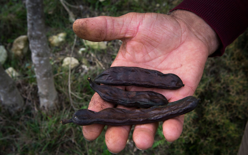 manolis-hliakis-xaroupi_dgs_8929