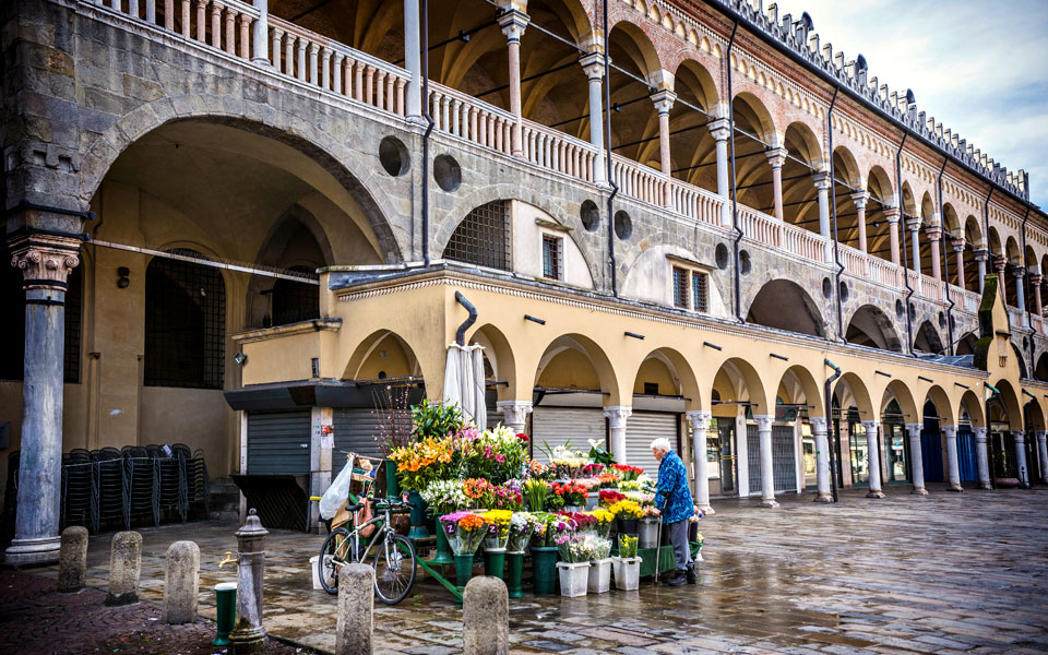 shutterstock_1061499167