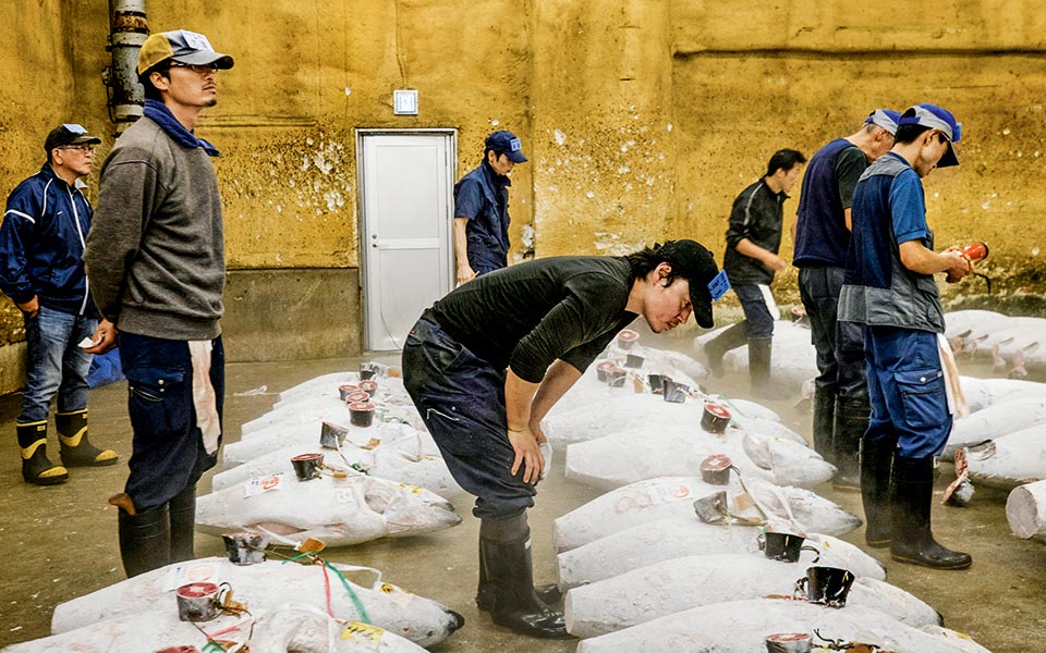 tsukiji-9228