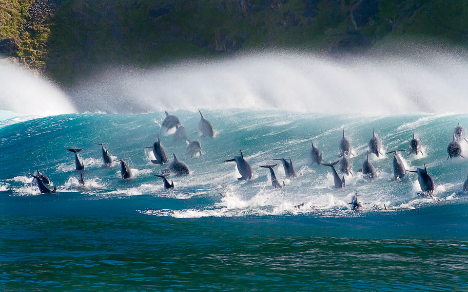 gkkt_01_17022019_cmyk_page_1_image_0004