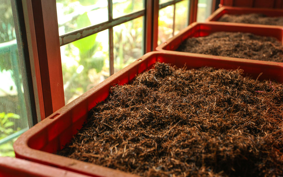 shutterstock_1015214788