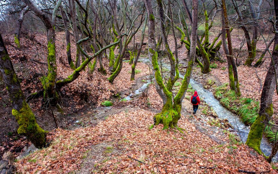 bralos-sidirodr-monopati_gd14377