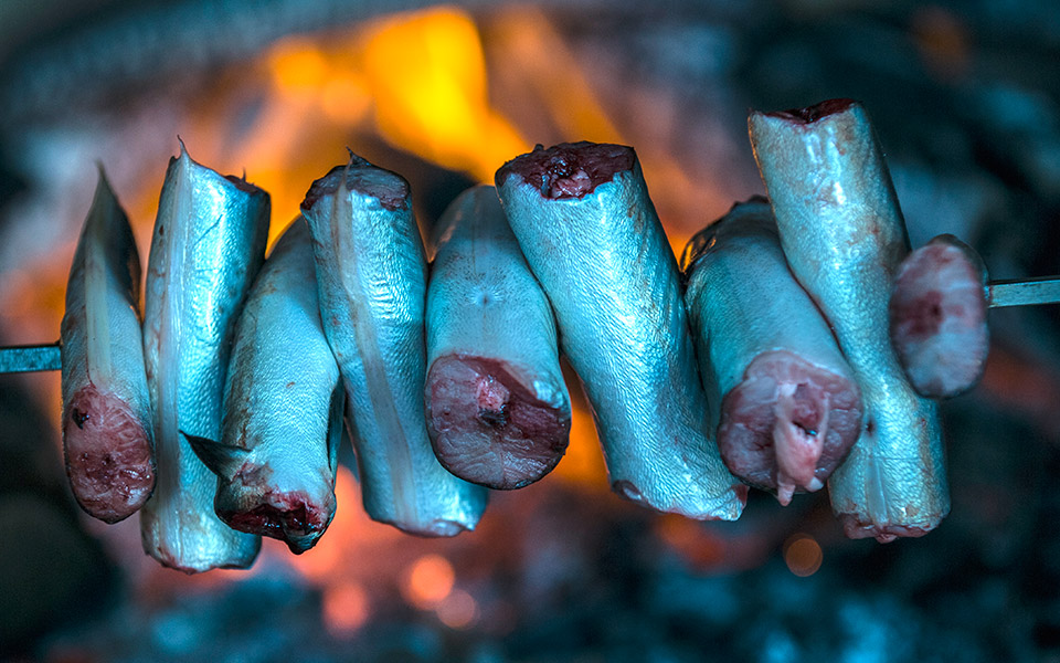 amvrakikos-003-logarou-ivari-0225