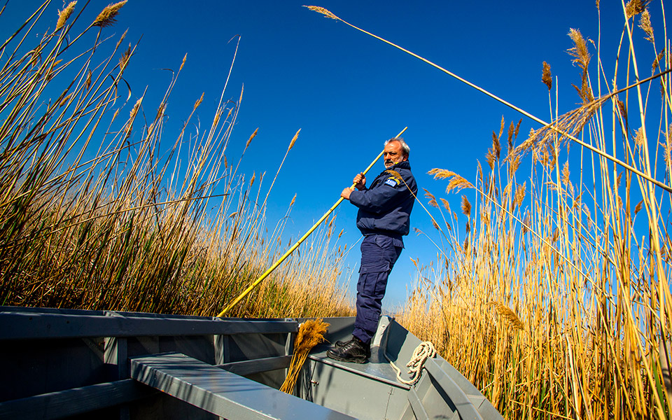 amvrakikos-015-rodia-baltos-0499