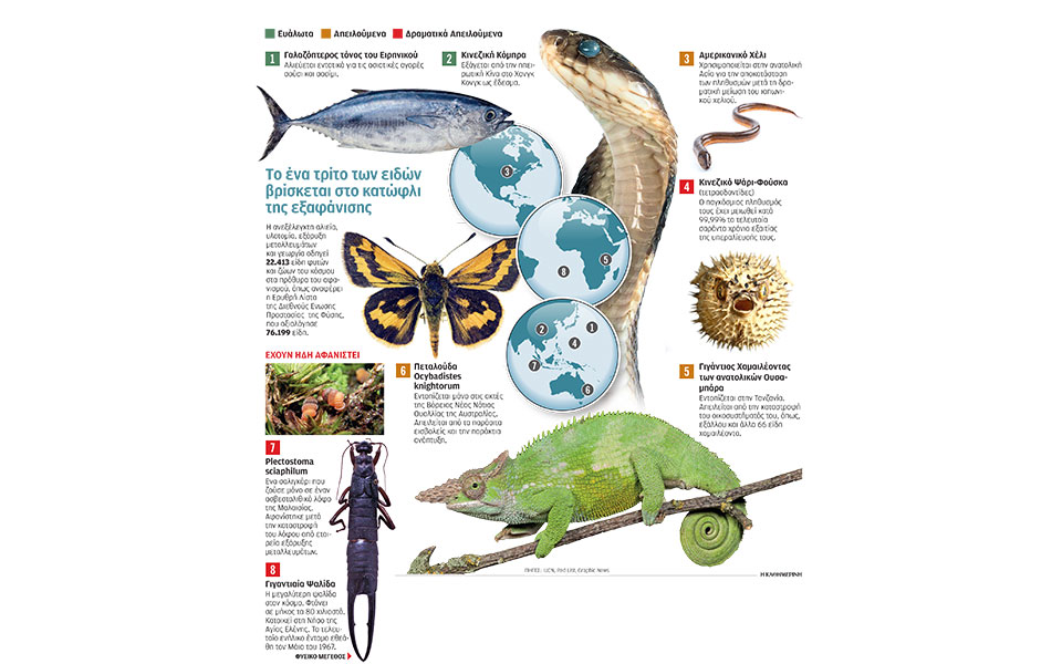 s19_120519_extinction