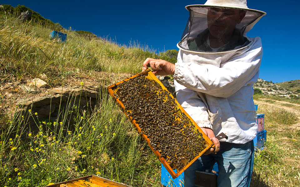 ios-039-meli-niotiko--0586