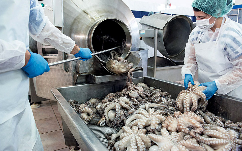 nor_oktapous_limnos1