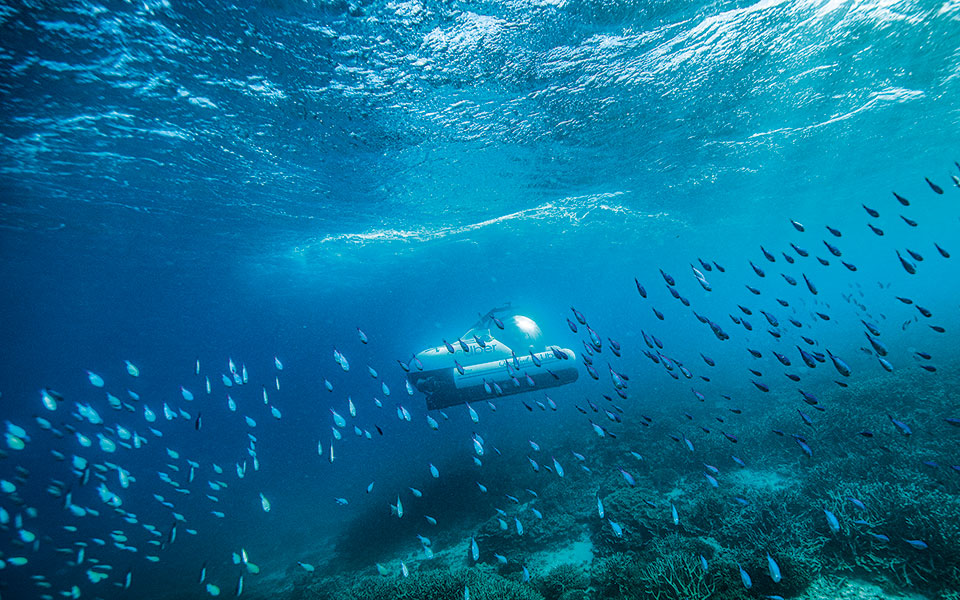 scuber-travelling-amongst-marine-life-at-heron-island-credit---tourism-and-events-queensland