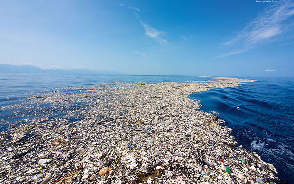 25637_gallery_cleanocean_le_01