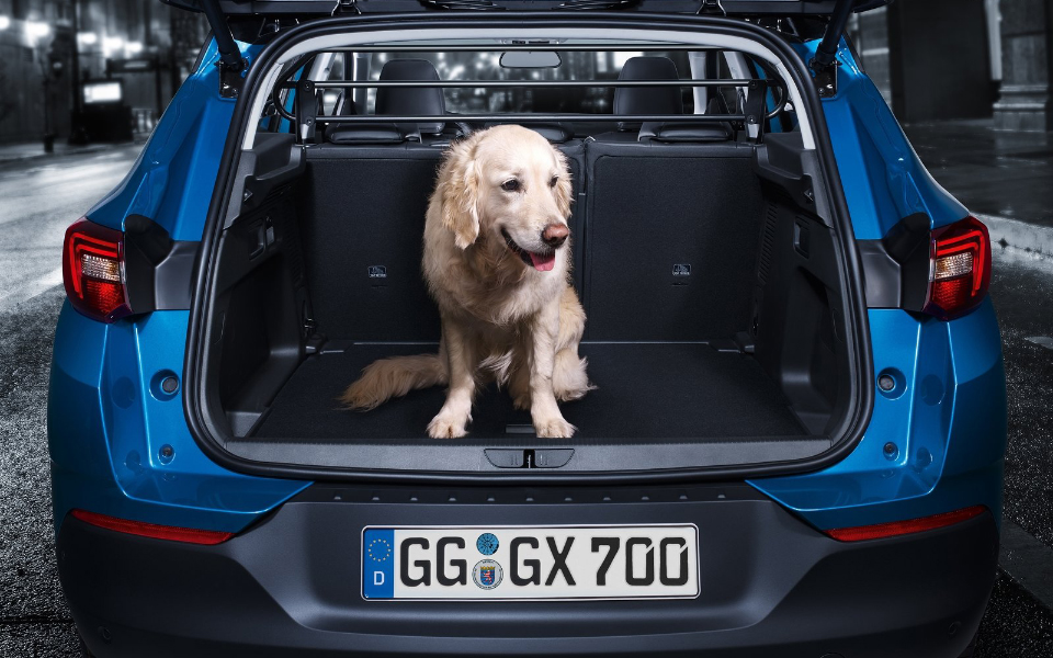 opel-grandland_x-2018-1600-4e