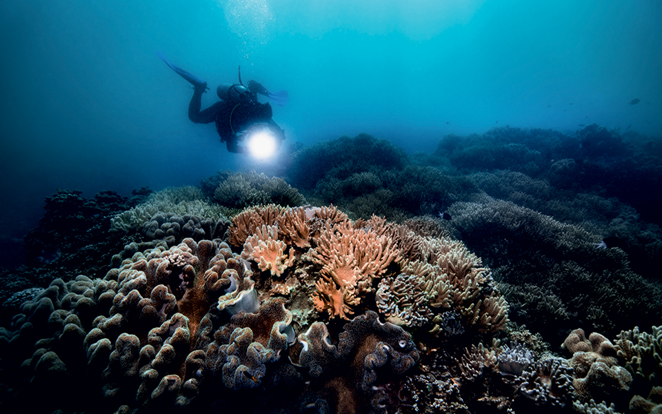 05_oris-great-barrier-reef-limited-edition-iii