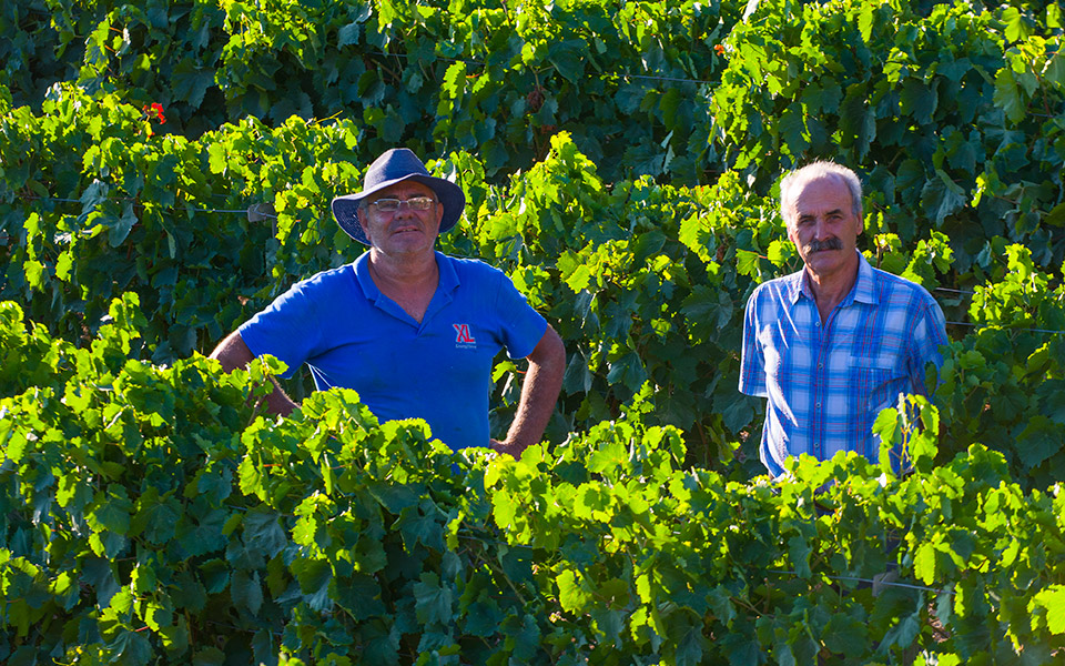 md-002-lipsi-009-lipsi-winery-0252