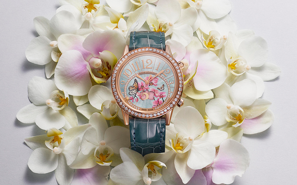 rendez-voussonatinagreenorchid-2-620588