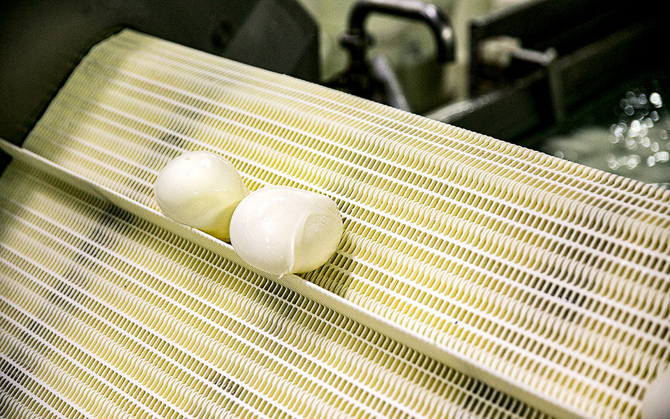 mozareladiko-7-of-27