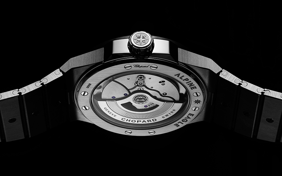 alpine-eagle-back-detail