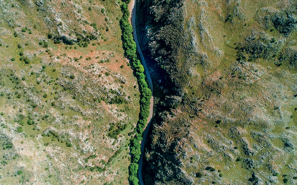 oreinessymfwnies8eriso