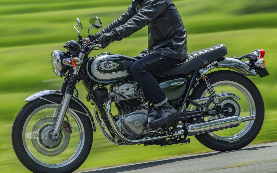 2020_w800_gn1_act-5-resized-1