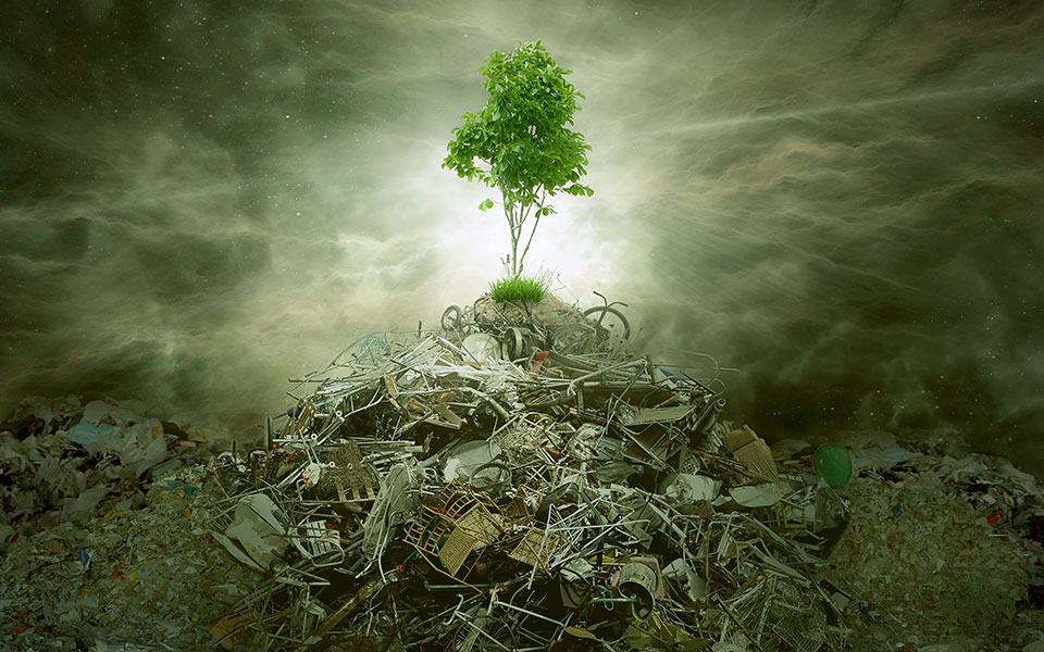 shutterstock_271807145