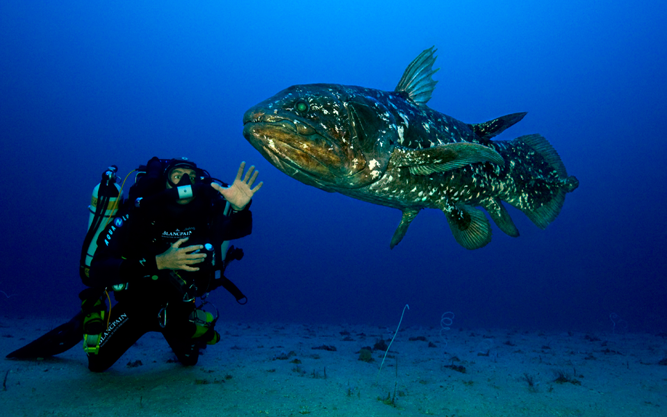 partner---laurent-ballesta-1