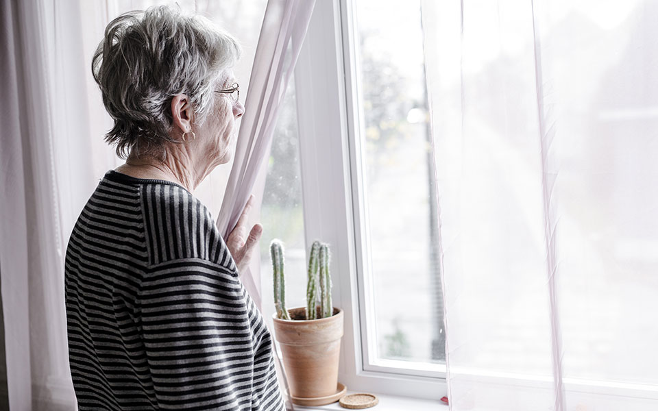 shutterstock_520345699