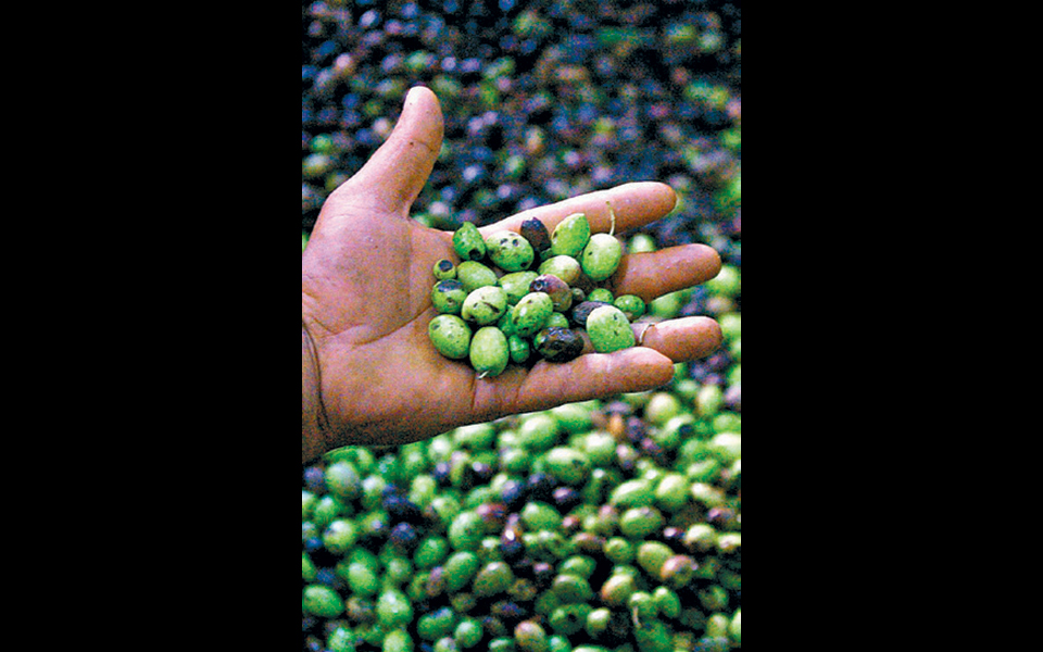 gkat_11_0703_page_1_image_0003