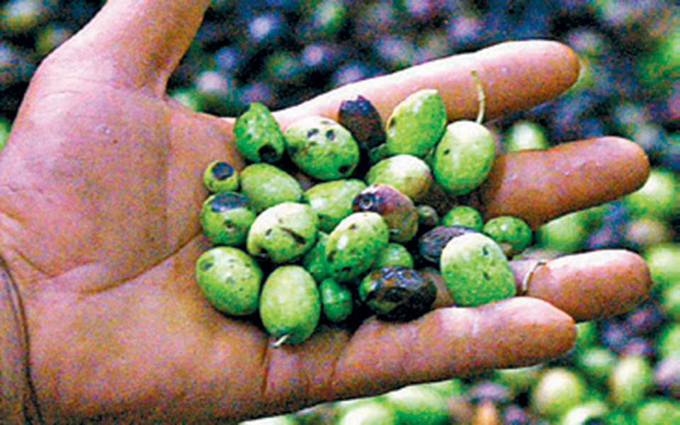 gkat_11_0703_page_1_image_000311--2