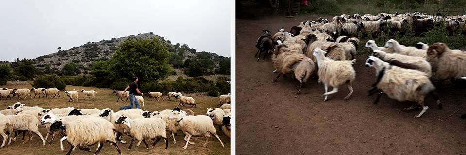 Οι βεντέτες, τα φονικά και οι «μεσίτες» ειρήνης-3