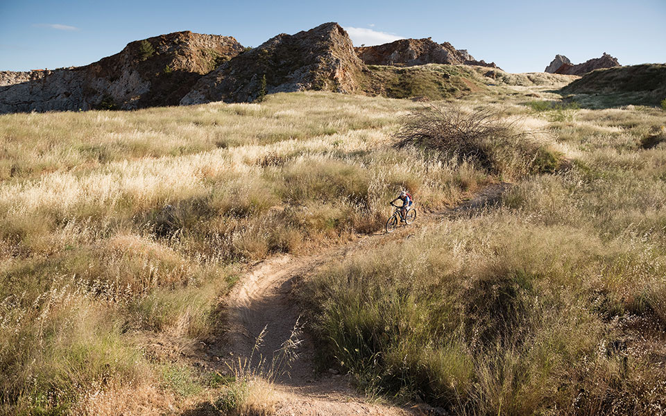 zavos_damaria_psihiko_podilata_0007