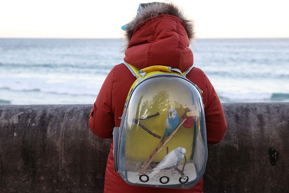 Πουθενά χωρίς τους φίλους μου