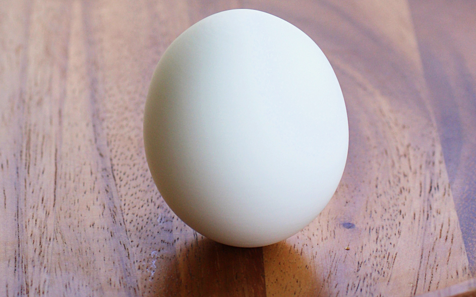 Μπορείς να εξαφανίσεις ένα αυγό;-4