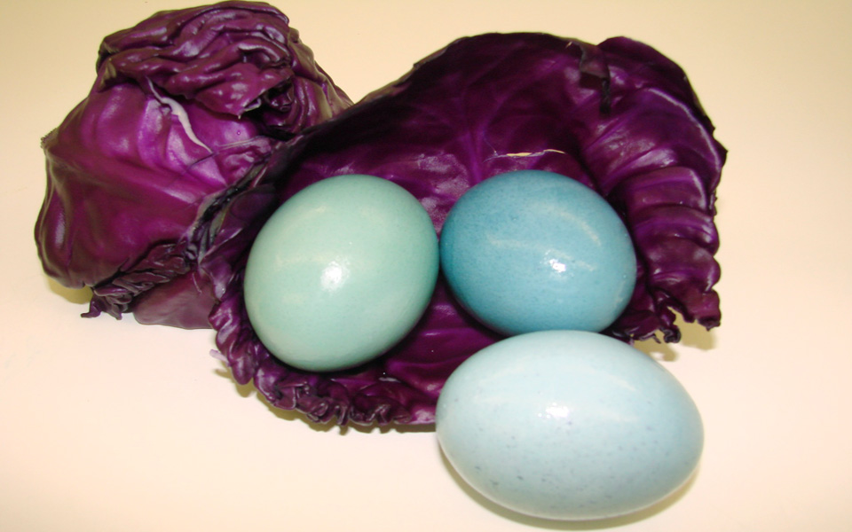 Μπορείς να εξαφανίσεις ένα αυγό;-1