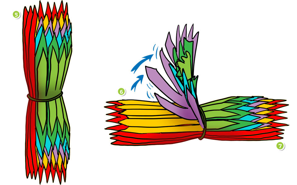 Ένα λουλούδι για το δωμάτιό μου-5