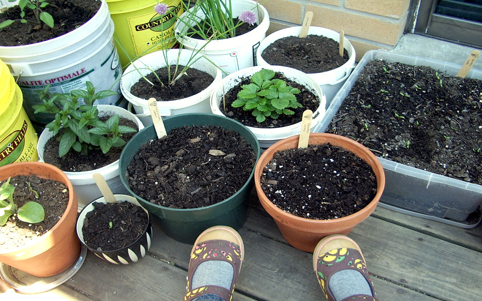 Πώς θα «πρασινίσει» το καλοκαίρι-1