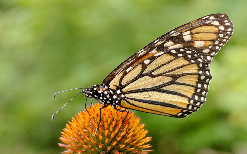 Φωτο-ποδηλατο-σαφάρι-1