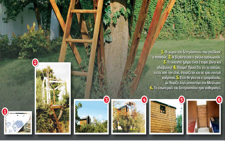 Tο δεντρόκαστρο του παππού-2