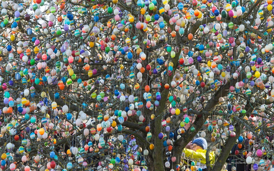 Το δέντρο με τα αυγά-1