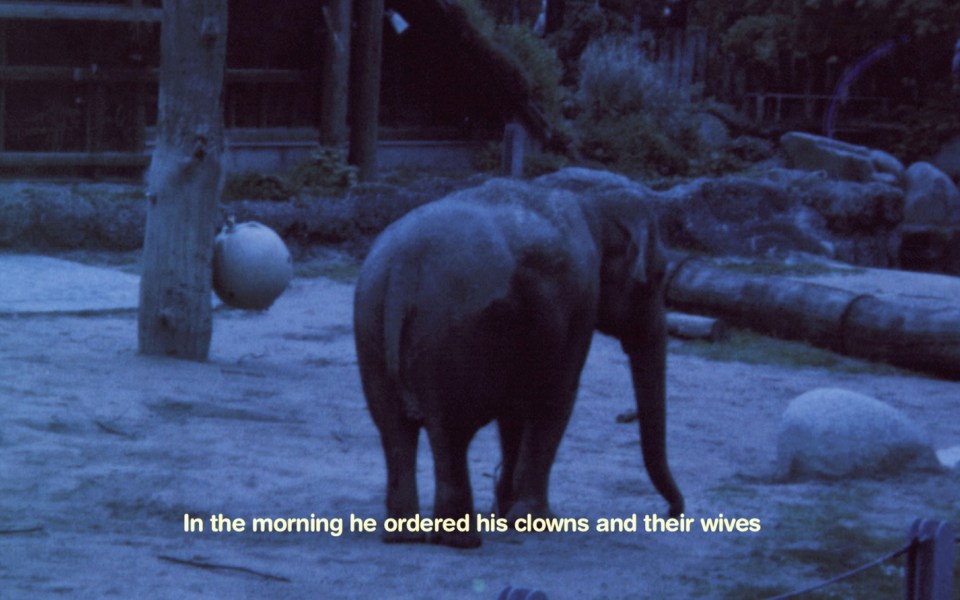 Ηλιάνα Φωκιανάκη: Έμφαση στην τέχνη-2